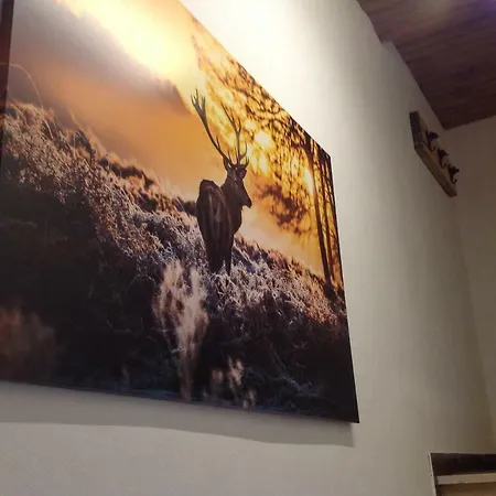 Schoenhensch Prázdninový dům