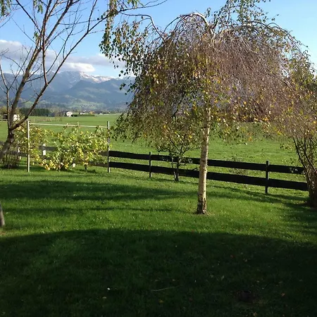 Schoenhensch * Burgberg (Bavaria)